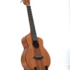 aNueNue UT1K Bird ukulele tenorowe