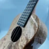 Rebel Double Creme Tenor