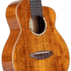aNueNue UT1K Bird ukulele tenorowe