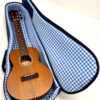 aNueNue C3E ukulele koncertowe z przetwornikiem
