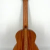 aNueNue C30 ukulele koncertowe
