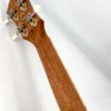 aNueNue US-10 IG Ice Green Sopran Neck