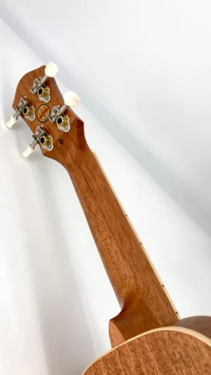 aNueNue US-10 IG Ice Green Sopran Neck