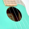 aNueNue US-10 IG Ice Green Sopran Front
