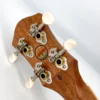 aNueNue US-10 IG Ice Green Sopran Gears