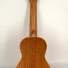 aNueNue US-10 LC różowe ukulele sopranowe