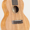Ko’olau Pono Acacia (AC) ukulele koncertowe