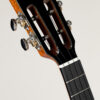 aNueNue LOUT pomarańczowe ukulele tenorowe