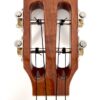 AKK2 AK14264 Kopf aNueNue AKK2 - Hawaiian Koa - ukulele koncertowe
