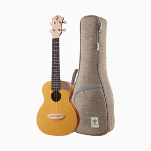 aNueNue UC10 GG - ukulele koncertowe