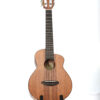 aNueNue UT1K Bird ukulele tenorowe