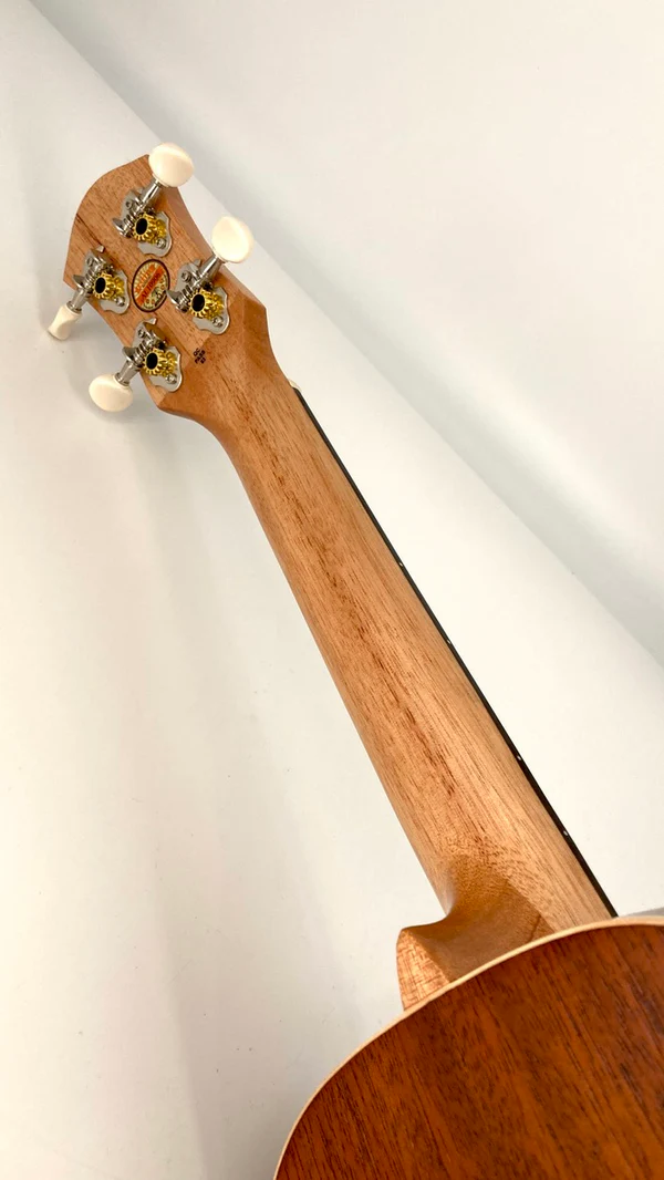 aNueNue UC-10 BB czarne ukulele koncertowe - palisander mahoń - gryf