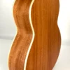 aNueNue UT-10 BA błękitne ukulele tenorowe kąt-tył