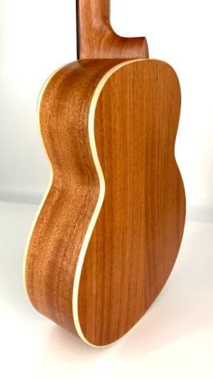 aNueNue UT-10 BA błękitne ukulele tenorowe kąt-tył
