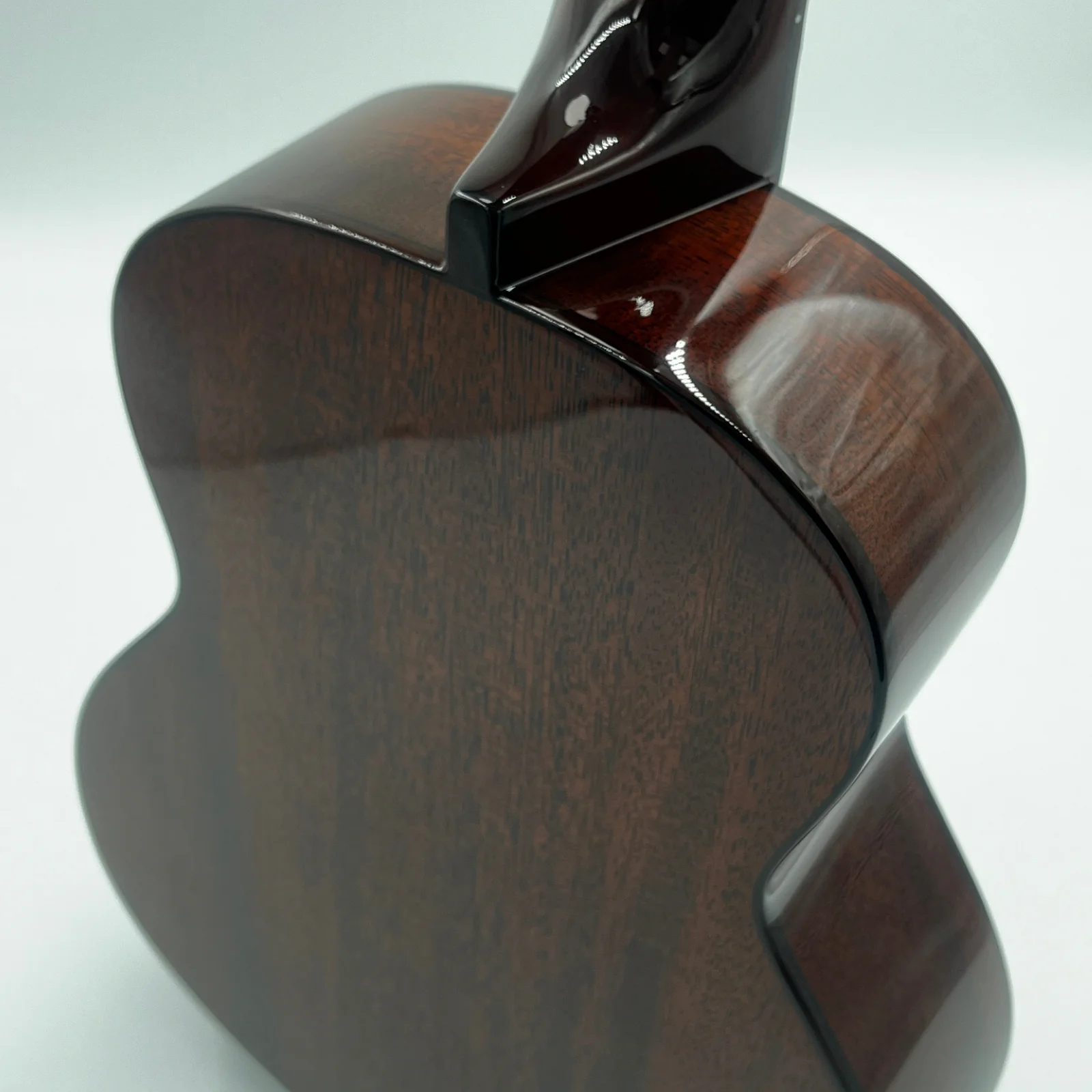 aNueNue AMM3 ukulele tenorowe tył mahoń afrykański