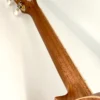 aNueNue UT-10 IG Ice Green Sopran Neck