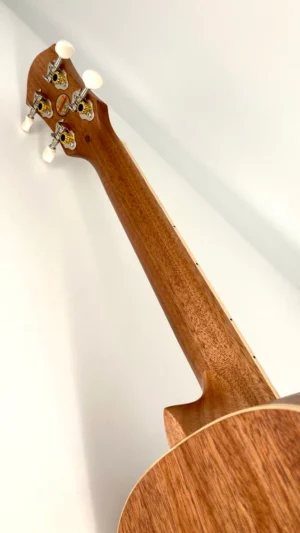 aNueNue UT-10 IG Ice Green Sopran Neck