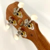 aNueNue UT-10 IG Ice Green Sopran Gears