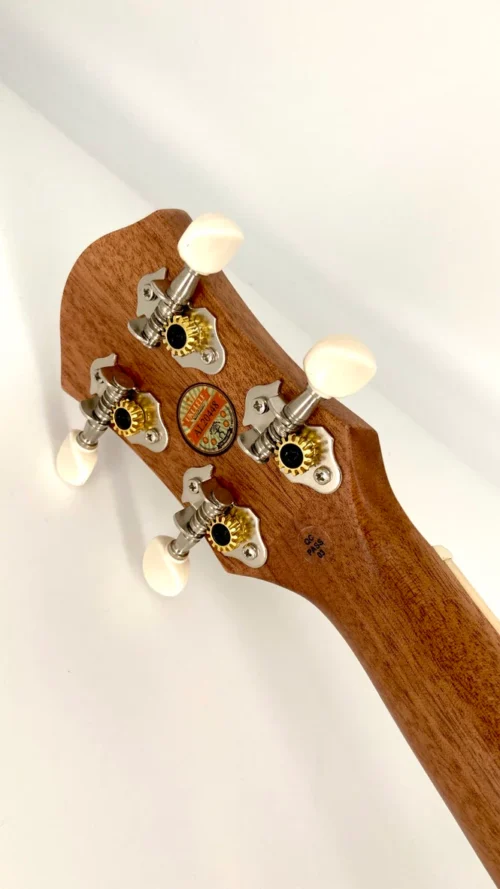 aNueNue UT-10 IG Ice Green Sopran Gears