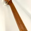 aNueNue UT-10 LC Living Coral Tenor Neck