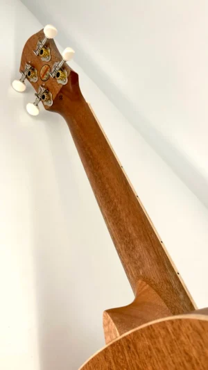 aNueNue UT-10 LC Living Coral Tenor Neck