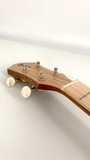 aNueNue UT-10 LC Living Coral Tenor Head Angle