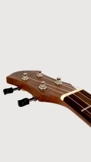 aNueNue U3 ukulele tenorowe (Hawaiian Dream)