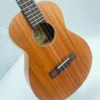 aNueNue T30 ukulele tenorowe