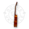 aNueNue T30 ukulele tenorowe