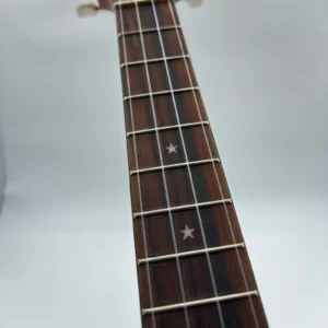 aNueNue UT-10 BB czarne ukulele tenorowe