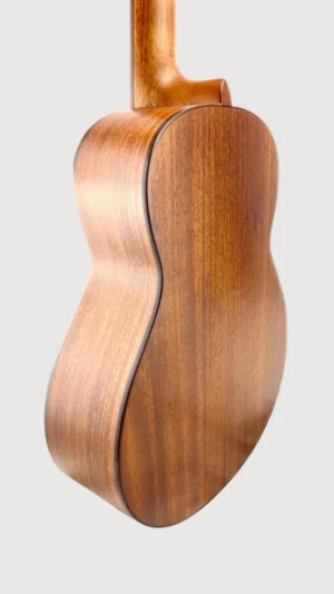 aNueNue T3 side2