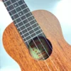 aNueNue U1 ukulele sopranowe body