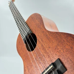 aNueNue U2 ukulele koncertowe