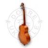 aNueNue U3 ukulele tenorowe (Hawaiian Dream)