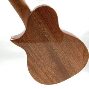 Kala Revelator Night Owl Mango Tenor