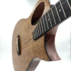 Kala Revelator Night Owl Mango Tenor
