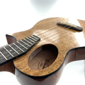 Kala Revelator Night Owl Mango Tenor