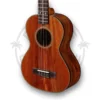 Kala Taro Patch Tenor - korpus