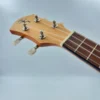 aNueNue US-10 BA niebieskie ukulele sopranowe