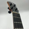 aNueNue UT-200 Moon Bird