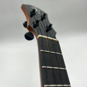 aNueNue UT-200 Moon Bird