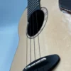 aNueNue UT-200 Moon Bird