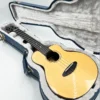 aNueNue UT-200 Moon Bird